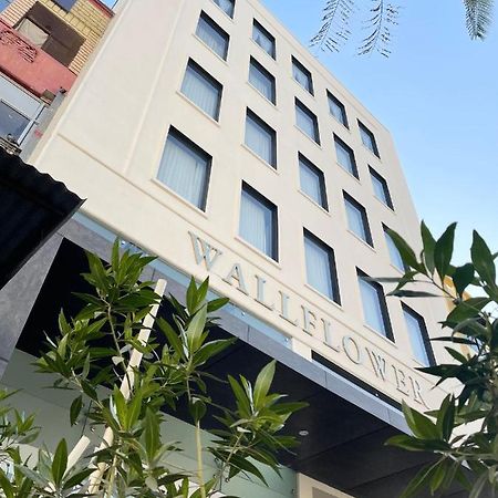 The Wallflower Hotel 科塔 外观 照片