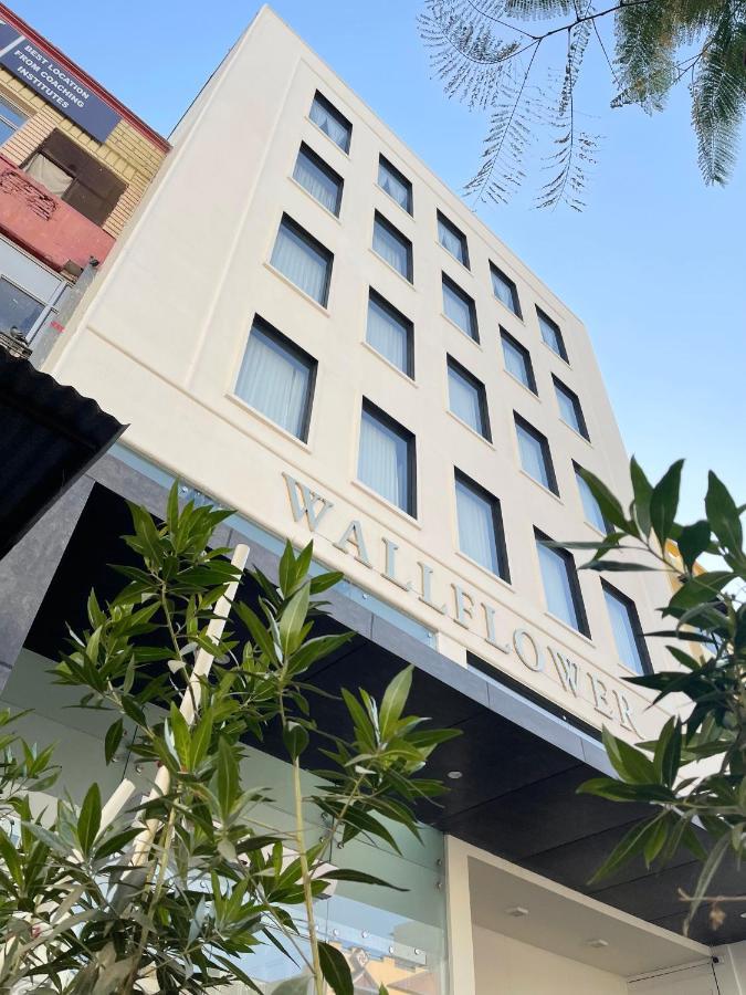 The Wallflower Hotel 科塔 外观 照片